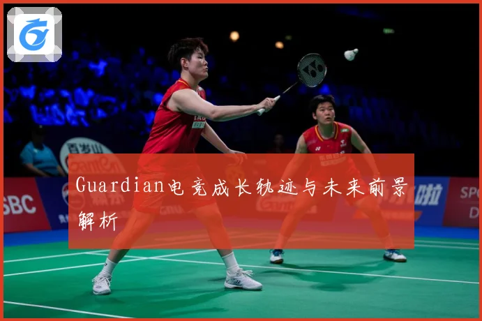 Guardian电竞成长轨迹与未来前景解析