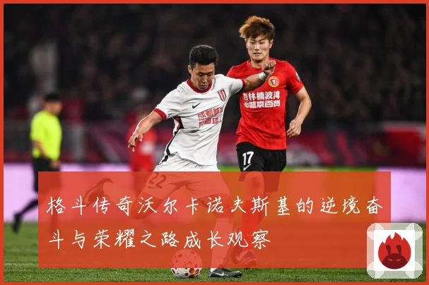 格斗传奇沃尔卡诺夫斯基的逆境奋斗与荣耀之路成长观察